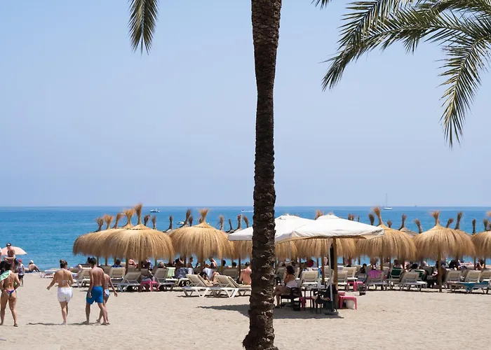 Estudio Maravilla Marbella