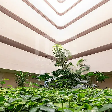 Appartamento Estudio Maravilla